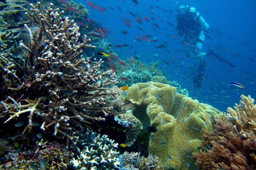 Pulau_Piaynemo,_Raja_Ampat