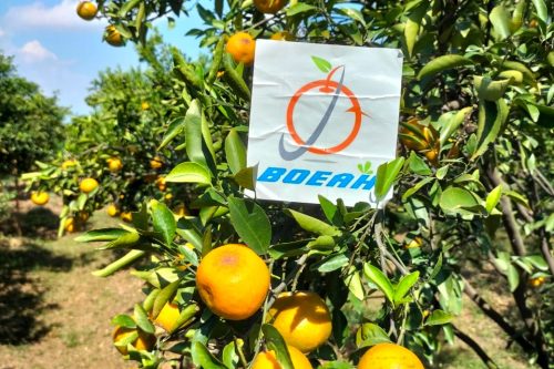 WhatsApp Image 2025-04-29 at 9.21.08 PM