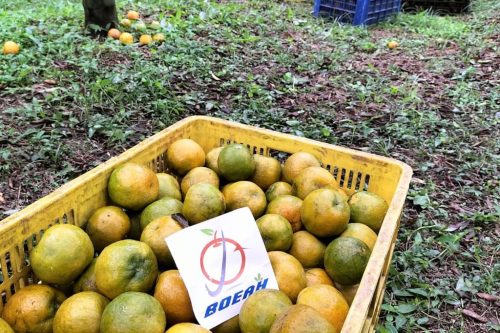 WhatsApp Image 2025-04-29 at 9.21.10 PM