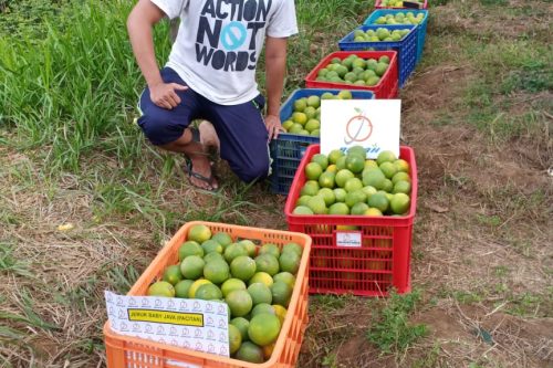 WhatsApp Image 2025-04-29 at 9.21.11 PM (1)