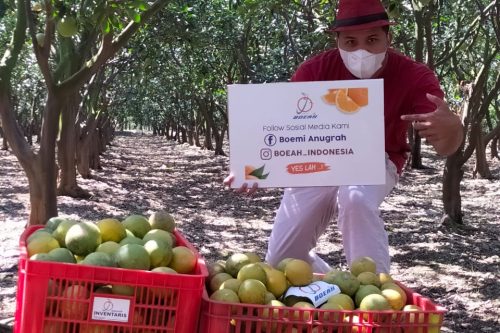 WhatsApp Image 2025-04-29 at 9.21.11 PM