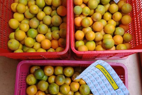 WhatsApp Image 2025-04-29 at 9.21.12 PM (1)