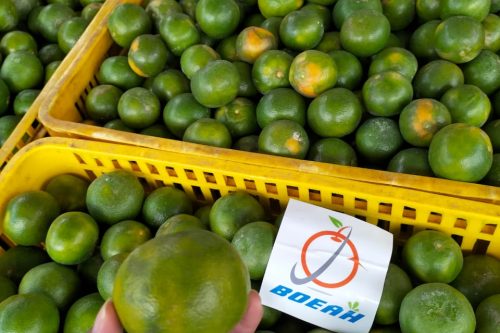 WhatsApp Image 2025-04-29 at 9.21.12 PM