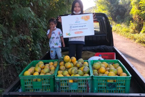 WhatsApp Image 2025-04-29 at 9.21.14 PM